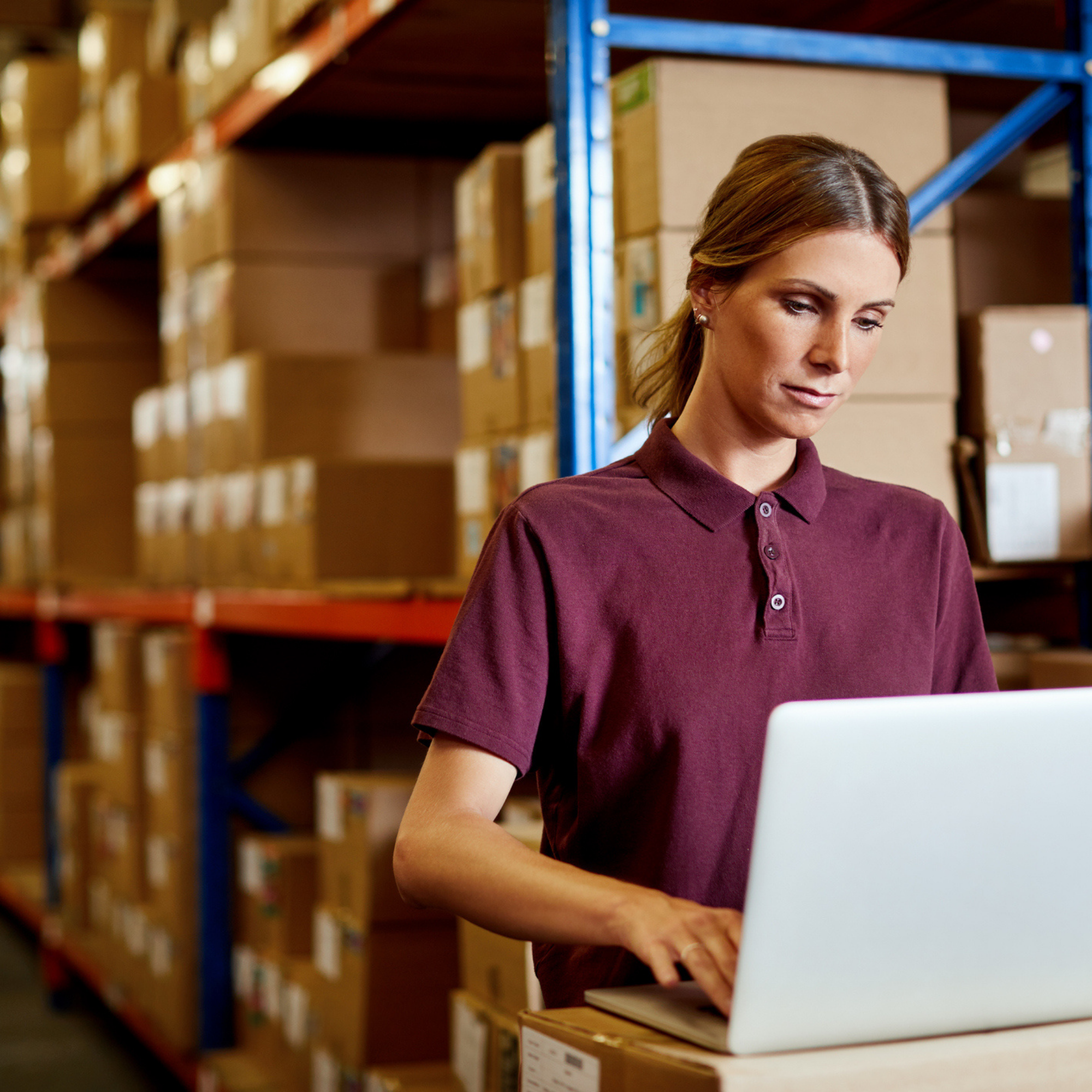 Checking up on the day's orders stock