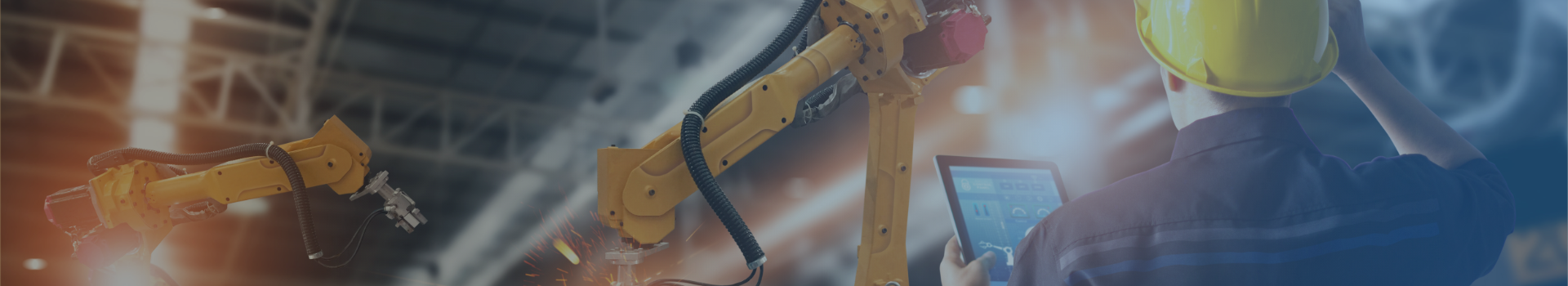 BAASS - Manufacturing Industry