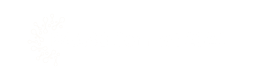BAASS connect 2024 Logo - white