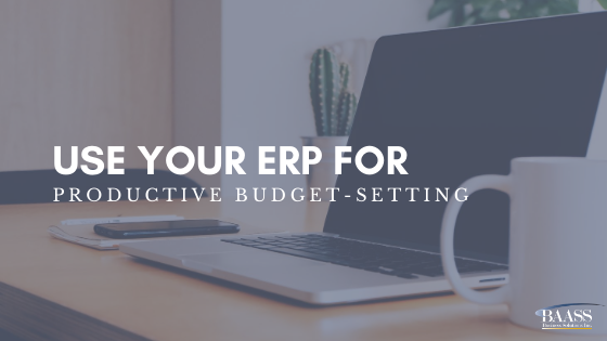 Use your ERP for Productive Budgeting