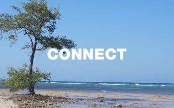 CONNECT RECTANGLE
