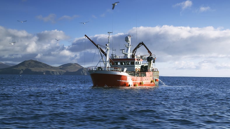 Supporting the Sustainability and Growth of Fishery Sector - BAASS