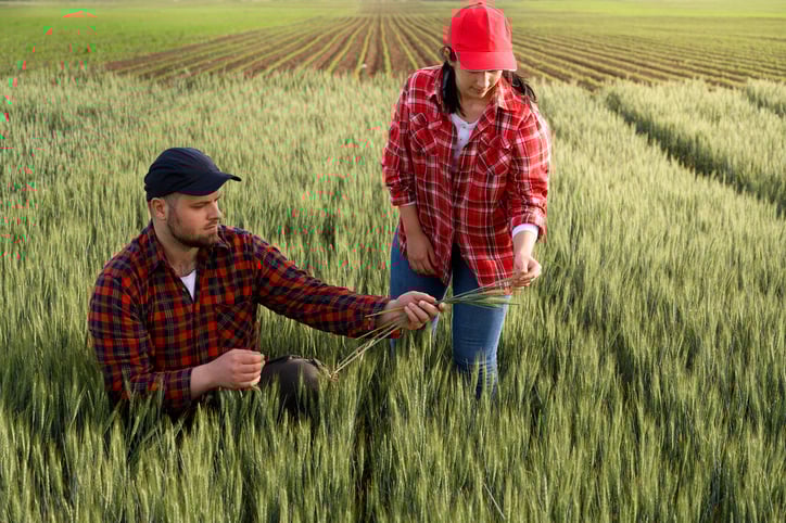 Strengthen Quality Control