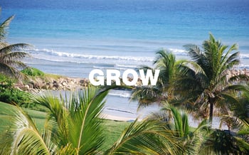 GROW  RECTANGLE