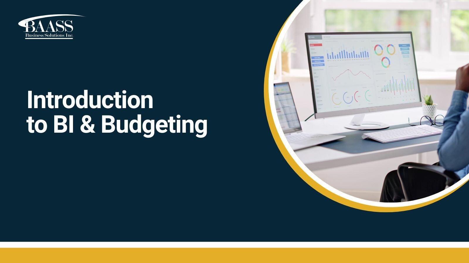Introduction to BI and budgeting
