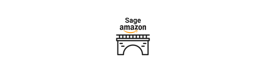 BAASS Bridge - Amazon