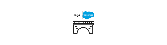 BAASS Bridge - Salesforce
