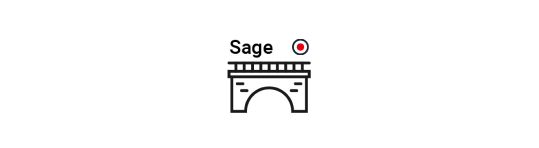 BAASS Bridge for Sage 300 and Medius