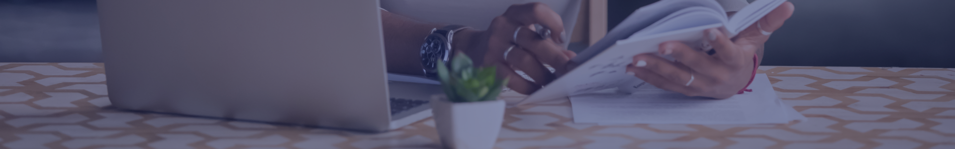 Partner Webinar 2020 - Page Header