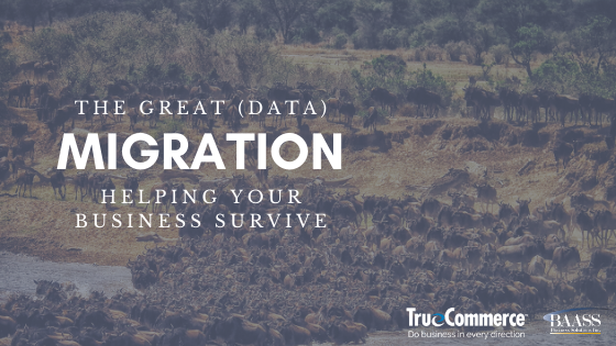 The Great Data Migration Helping Your Business Survive