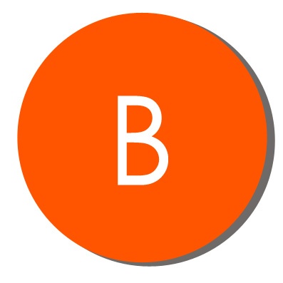 Bomgar_Logo.jpg
