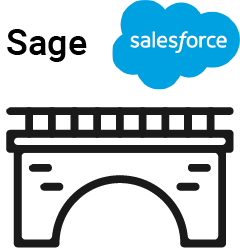 BAASS Bridge - Salesforce